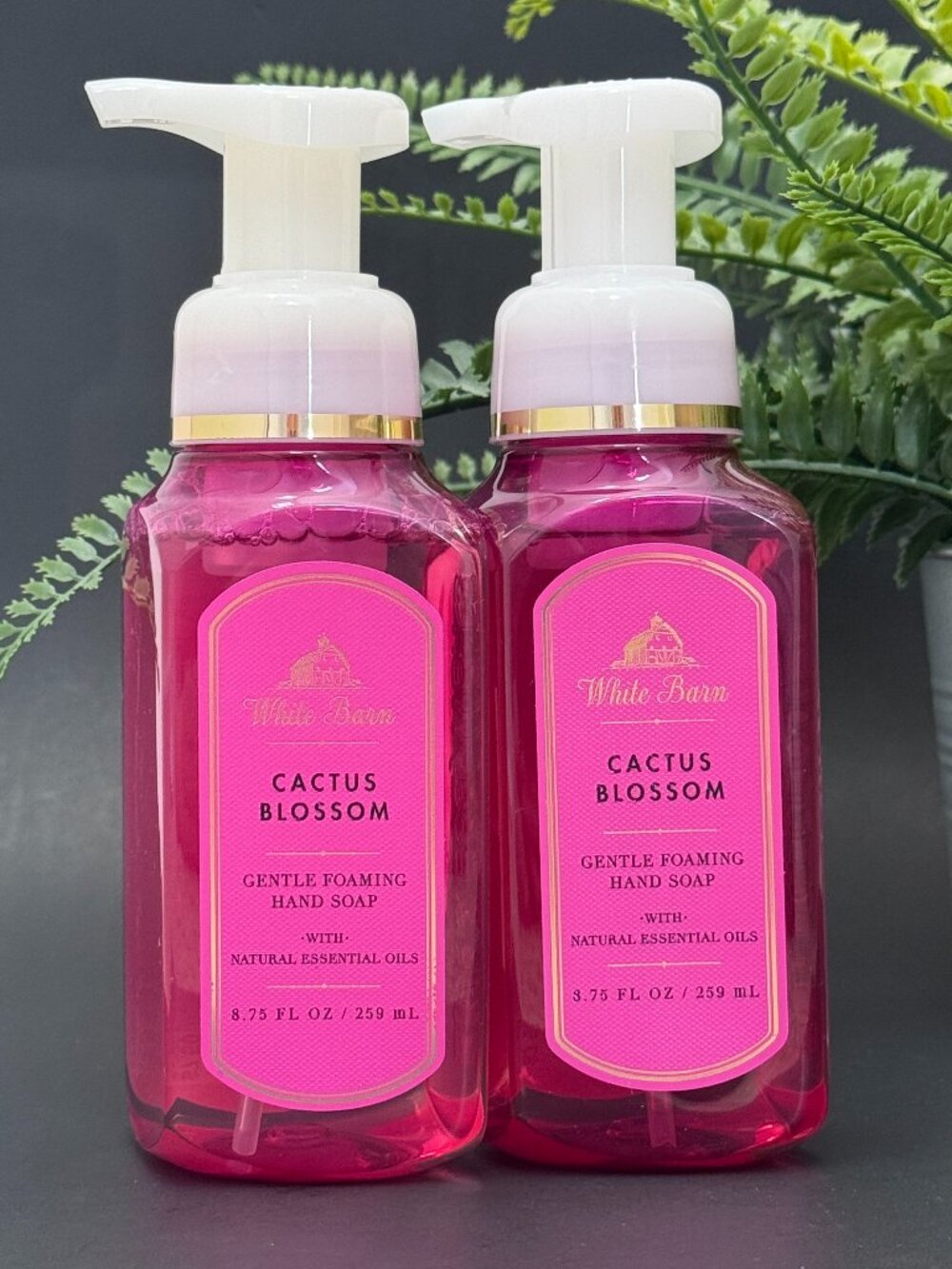 Bath & Body Works BBW White Barn Cactus Blossom Gentle Foaming Hand Soaps X 2